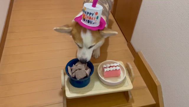 2024/02/14の記事動画