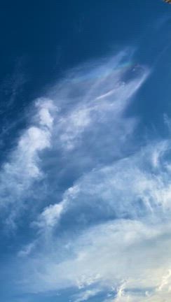 虹のアラカルト！！の記事動画