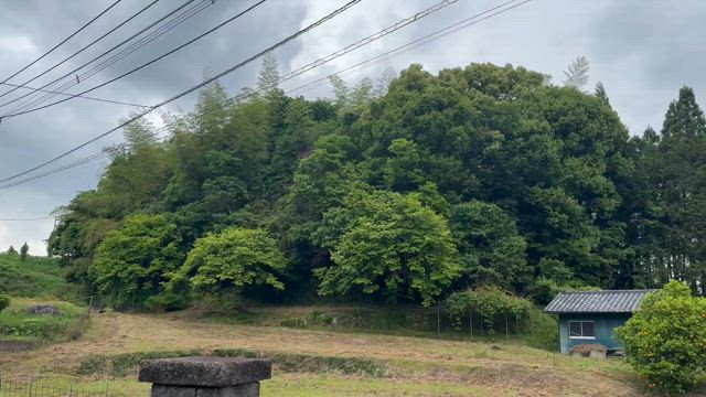 庭木の手入れ♪の記事動画