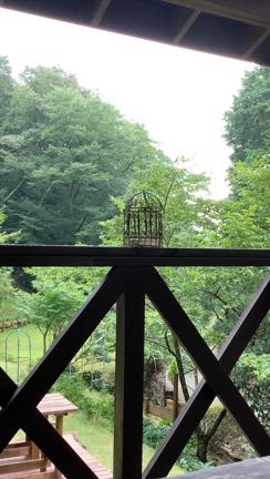 ヤマガラくん、登場の記事動画