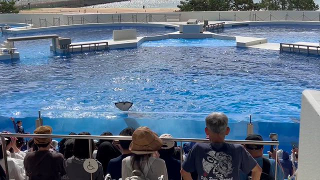 神戸須磨シーワールド（スマシー）の記事動画