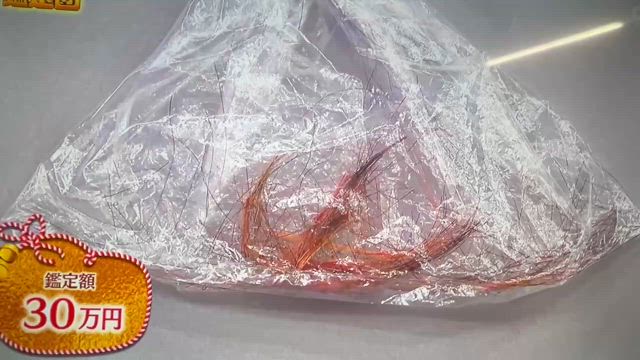 つづきの記事動画