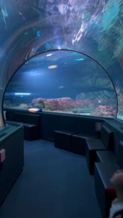 子連れグアム旅行⑤水族館&ディナーの記事動画