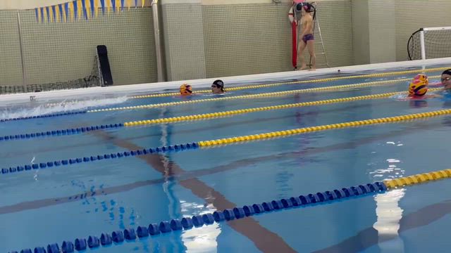 カツが切れてないの記事動画