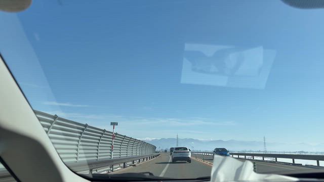 行ってきます☀️の記事動画