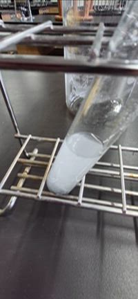 考えられる次元ではない世界の記事動画