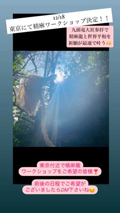 2024/11/05の記事動画