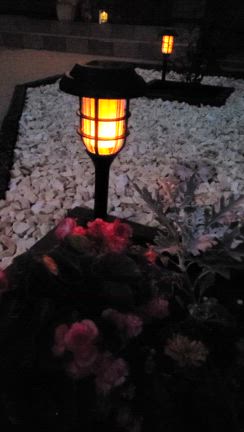 リピ観&ハロウィンの記事動画