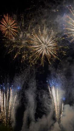 ☆夏の思い出☆の記事動画