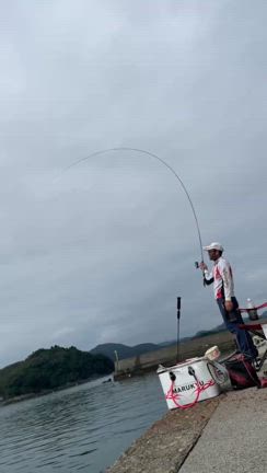 更新通知が来たでよ(θ‿θ)の記事動画