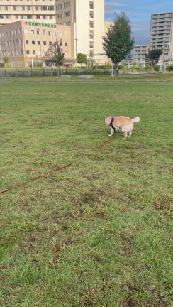 信州ミッションの記事動画