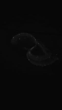 幸せの記事動画