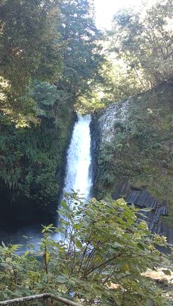 企画は 私（笑）の記事動画