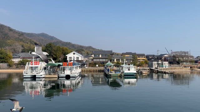 西国三十三所順打ち「丹後の札所巡り」の記事動画