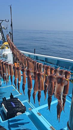 スルメジギングやりませんか！の記事動画