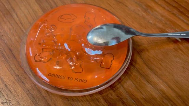 入手困難のプリンを、ついに我が手にの記事動画