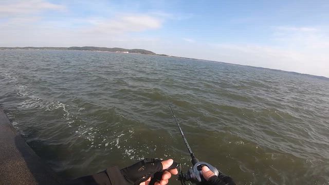 1周回ってアナログ最強時代の幕開けか！？の記事動画