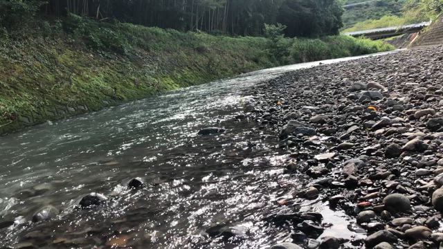サ活 in しずおかの記事動画