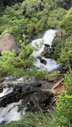 (4967小林製薬)株主優待到着と伊豆旅行のおまけ・・・の記事動画