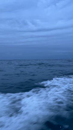 3月にやりたいこと　サクラマス釣りと畑準備の記事動画