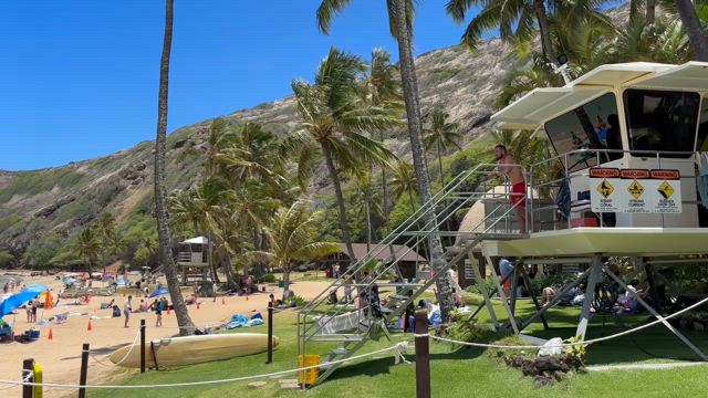 ハナウマ湾でシュノーケルの記事動画