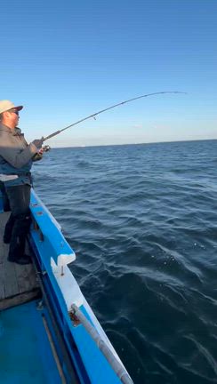 まだまだサワラも終わらん☺️の記事動画