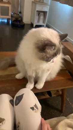 『“愁くんとママ♡♪”』の記事動画