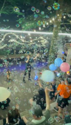 灯の森　in 西伊豆　大成功！の記事動画