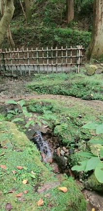 御岩神社参拝いたしました(*>∀<*)の記事動画
