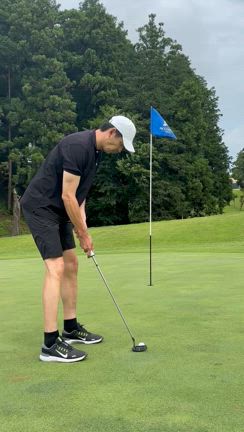 緑の中での記事動画