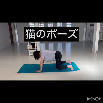 ★久喜プラーナYOGA12月スケジュール★の記事動画