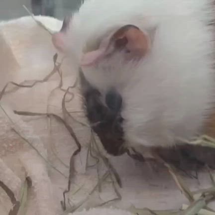 2025/06/07　専門学校の仕事の話の記事動画