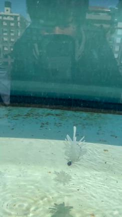 4/29 釣果情報！の記事動画