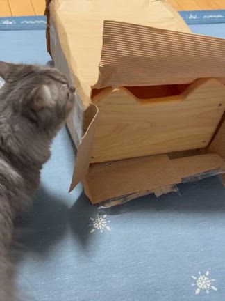 2025/08/03の記事動画