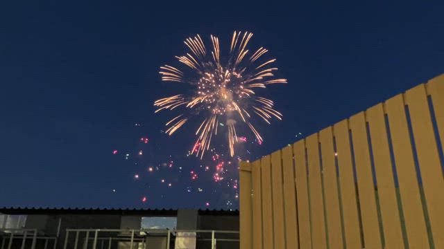 初・万博【vol.2338】の記事動画