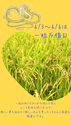 一粒万倍日★☆の記事動画