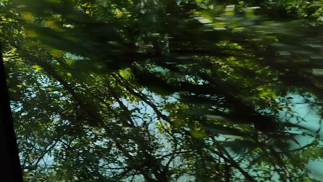 　温泉でゆっくりの記事動画