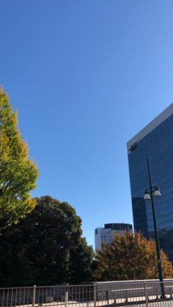 紅葉とお参りとクリスマスの記事動画