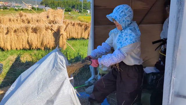 初めての脱穀作業の記事動画