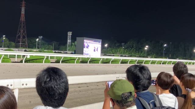 #1081 大雨の園田競馬と暴ロンブーの記事動画