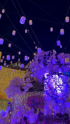 遊園地のイルミネーションに行って来ました♪の記事動画