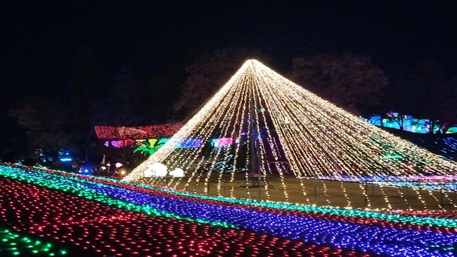 バスツアー　ドイツ村イルミネーションの記事動画