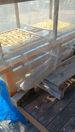 全てが有り難いことの記事動画