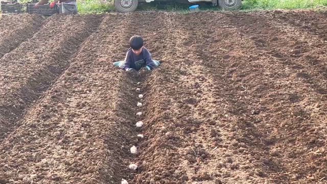 今季もいよいよ出店です！の記事動画