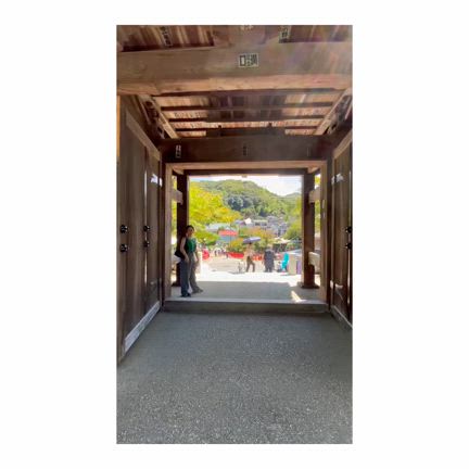 2024夏の思い出③の記事動画