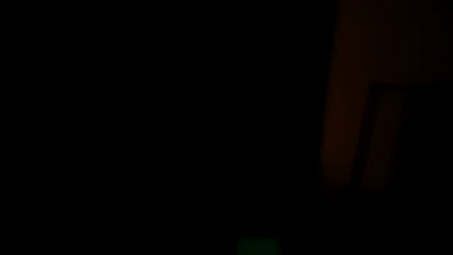 ついに、イノシシか、、、の記事動画