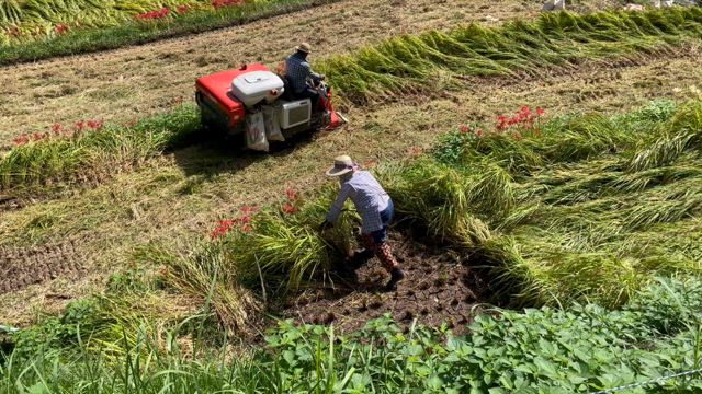 浮羽の綴れ棚田の記事動画