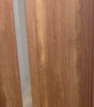 3人を旦那に見てもらった日の記事動画