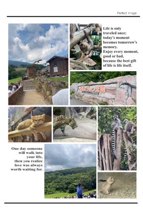 癒しの旅の記事動画