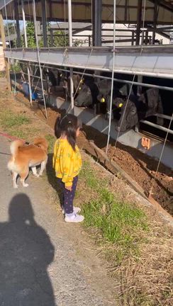 芸術の秋の記事動画